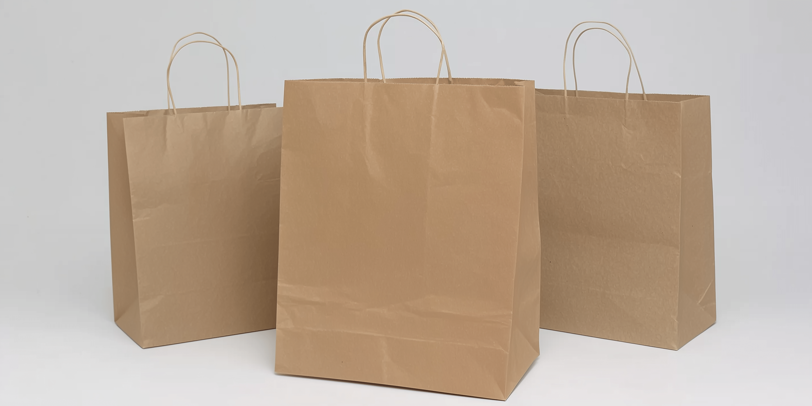 Papiertragetaschen Braun